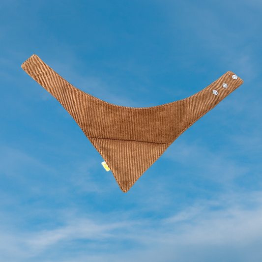 Koerte bandana saarmas