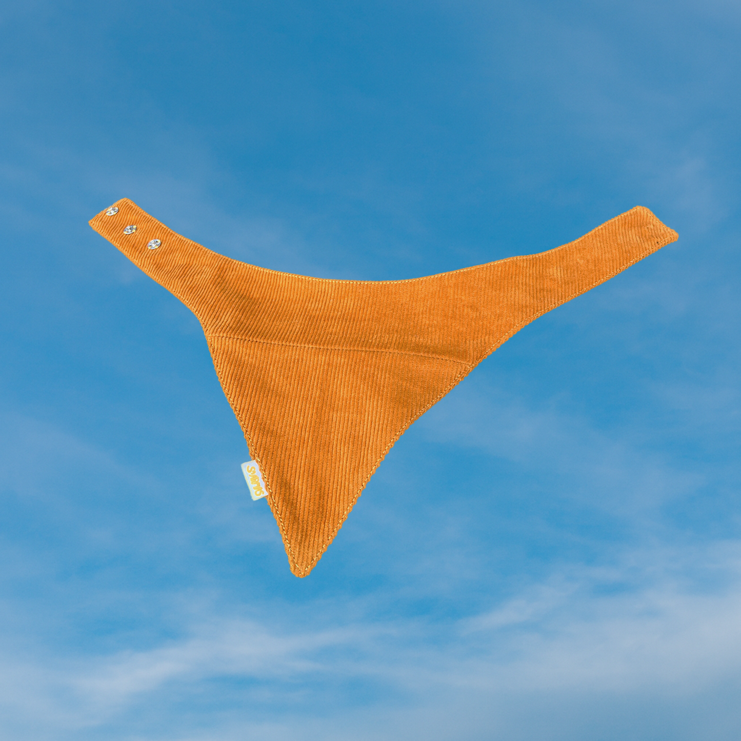 Koerte bandana kukeseen