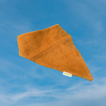 Koerte bandana kukeseen