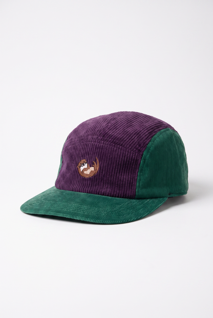 The Fig 5 Panel Cap