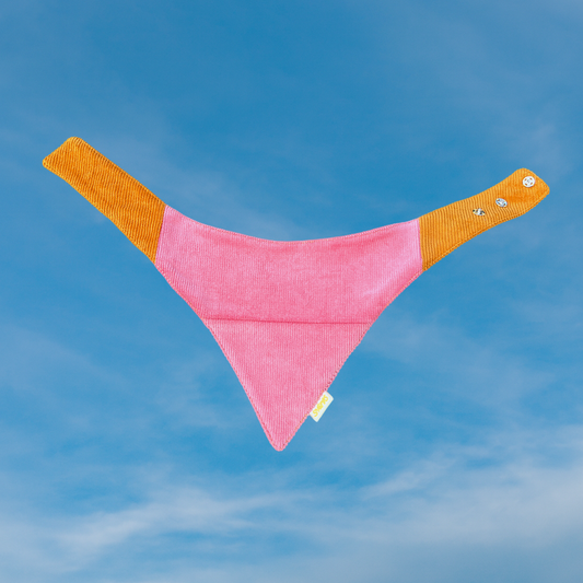 Koerte bandana mannavaht & kukeseen