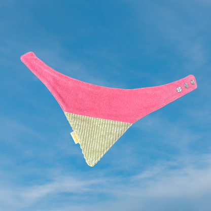 Koerte bandana mannavaht & sage