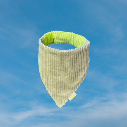 Koerte bandana sage & jaanimardikas