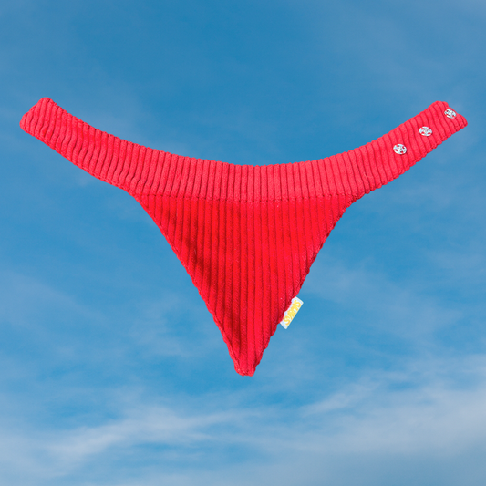 Koerte bandana tšilli