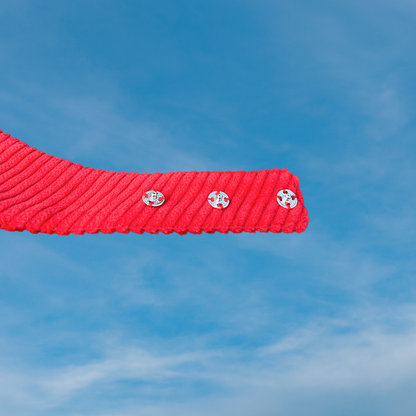 Koerte bandana tšilli